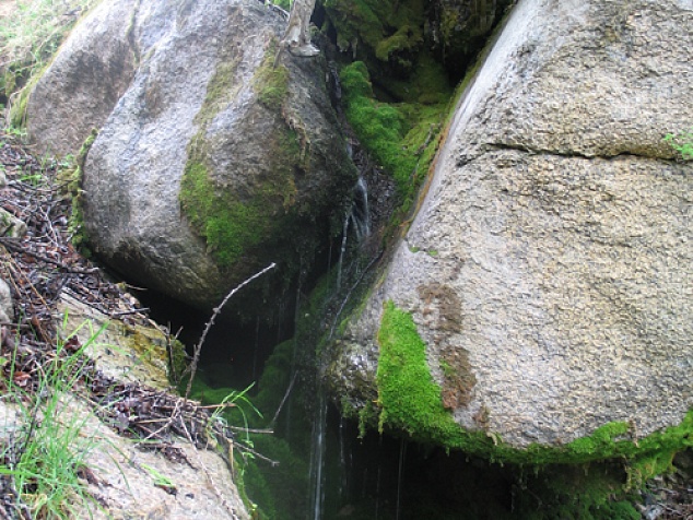 source